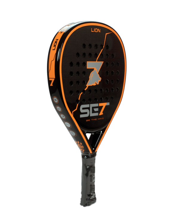 SET - LION 12K - Image 2